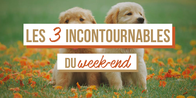 Les Trois Incontournables Du Week-end : 15-17 Février 2019 - Le Chti