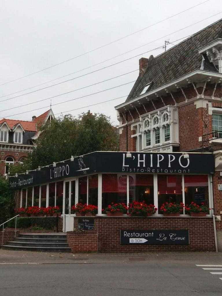 l_hippo_05932800_155257890-1.jpg