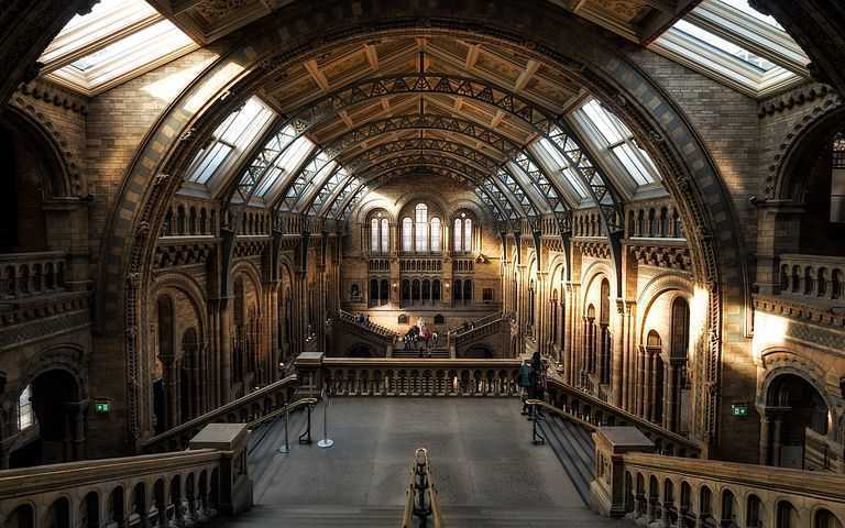 museum-2203648__480