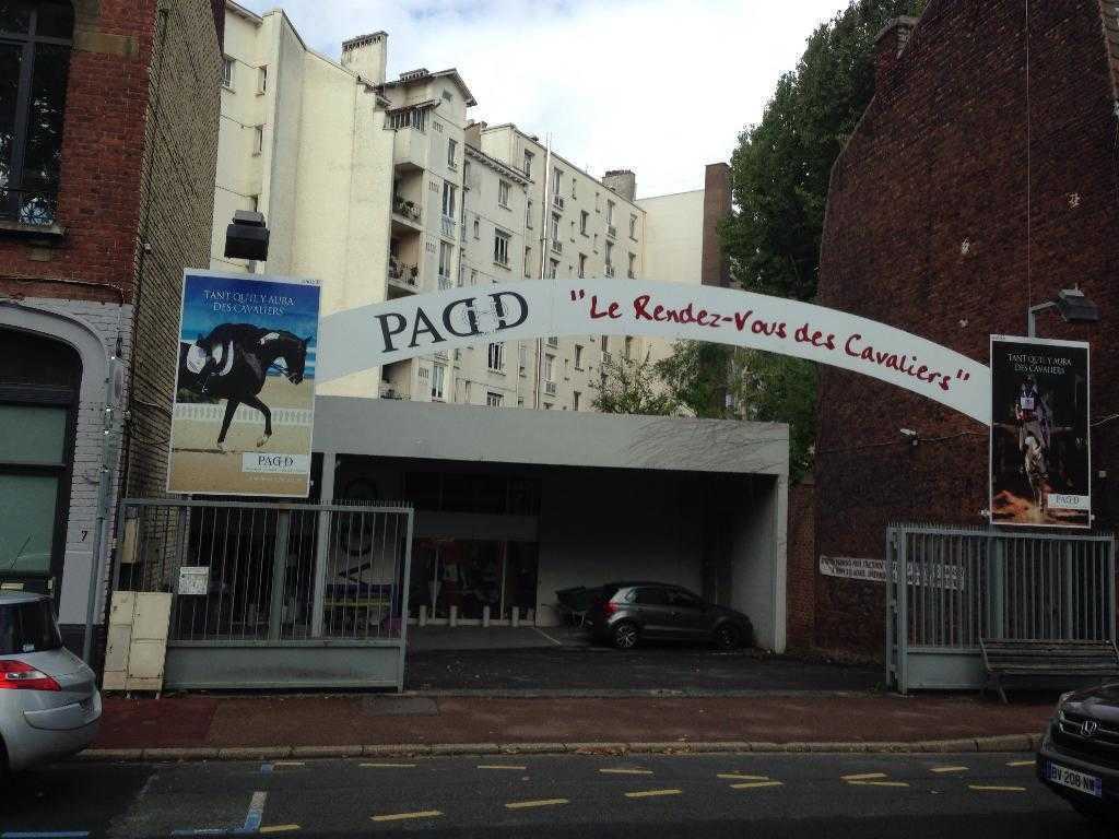 padd-2.jpg